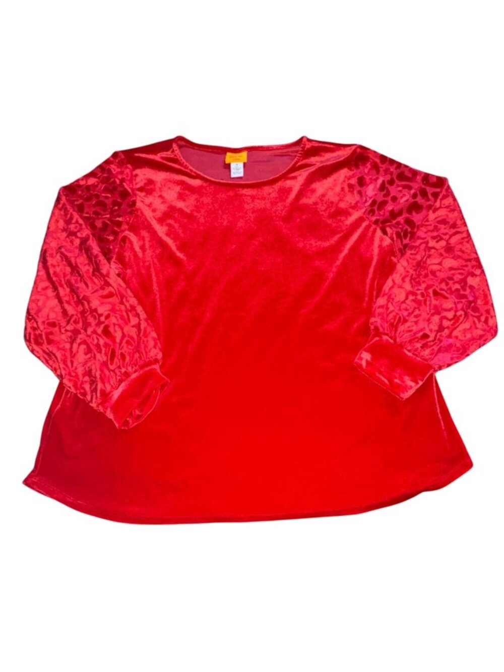 Ruby Rd. Scoop Neck Velvet Sweatshirt W/ Animal Print Sleeves-Red-1X-GUC